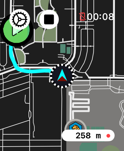 LilyMaps recording on Apple Watch showing a live distance of 258 meters